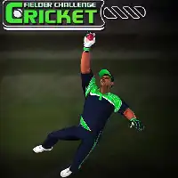 Cricket Fielder Challenge Game - Unblocked Games Online