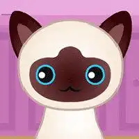 Guess The Kitty - Unblocked Games Online